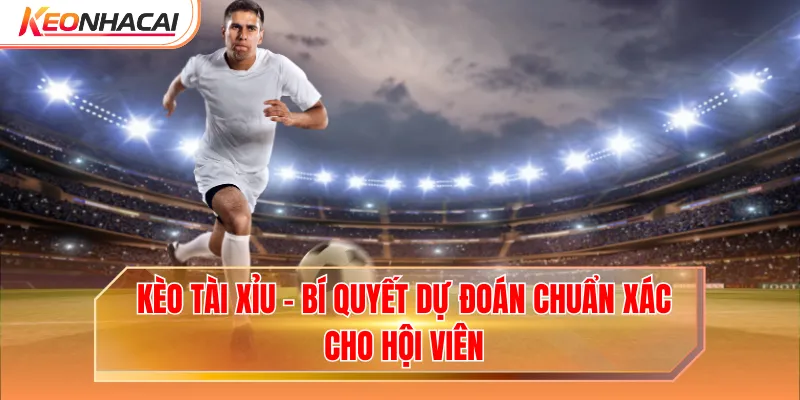 Kèo Tài Xỉu - Bí Quyết Dự Đoán Chuẩn Xác Cho Hội Viên