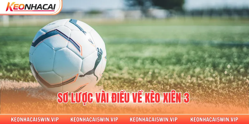 Sơ lược vài điều về kèo xiên 3 