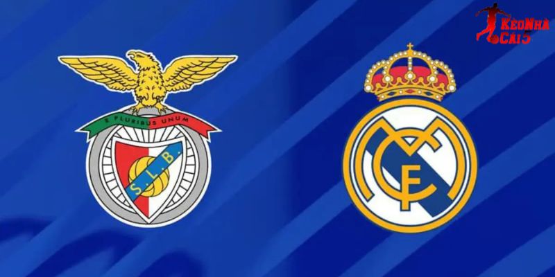 Soi Kèo Benfica vs Real Madrid, 03h 18/2 - Cúp C1